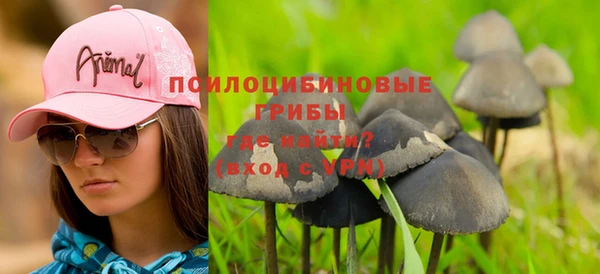 прущие грибы Алзамай