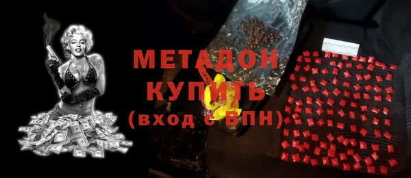 прущие грибы Алзамай