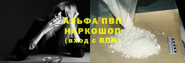 стафф Алексин