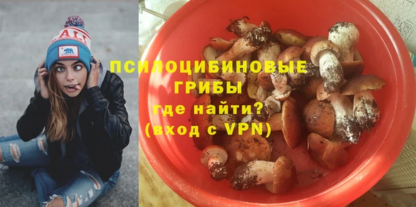 стафф Алексин