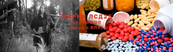 стафф Алексин