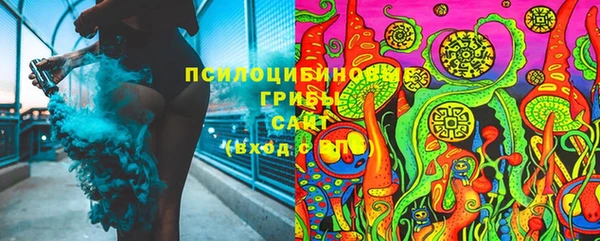 стафф Алексин