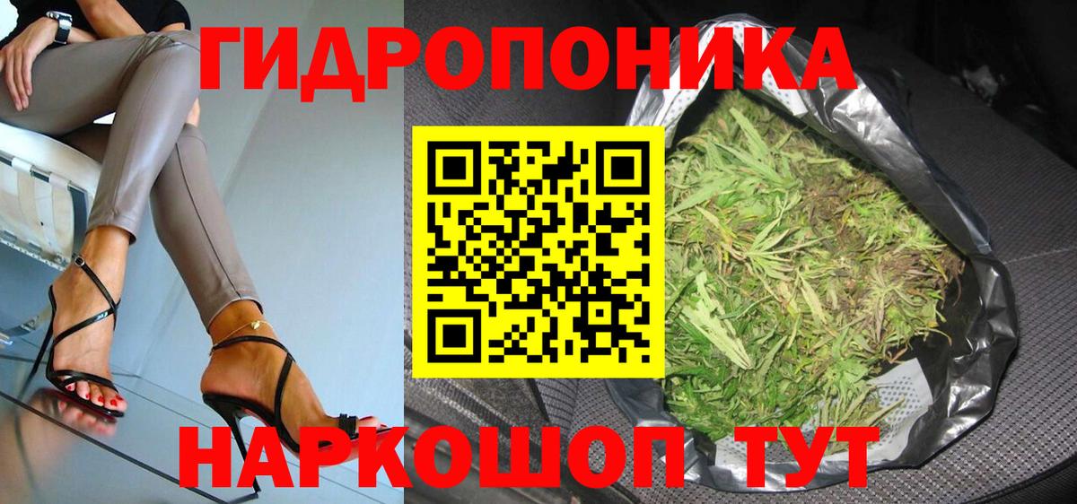 Бошки Шишки Amnesia  Конопля OG Kush  Вход с VPN  Клин  Канабис семена  Бошки Шишки планчик 